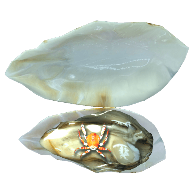 An image of the Crab oyster.