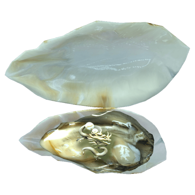 An image of the Dragon Pearl oyster.
