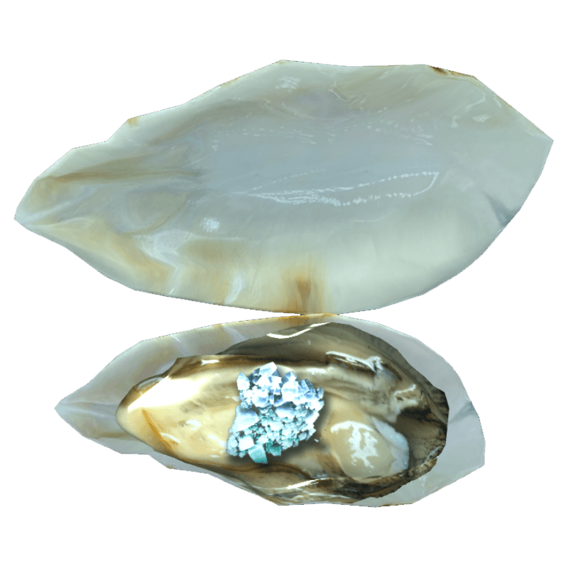 An image of the Minerals oyster.