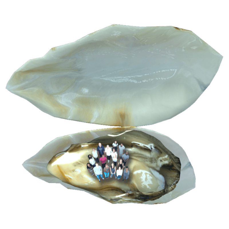 An image of the People oyster.