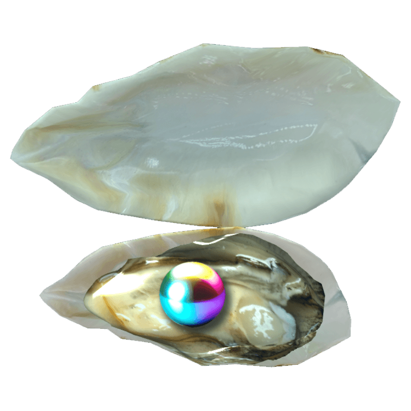 An image of the Rainbow Pearl oyster.