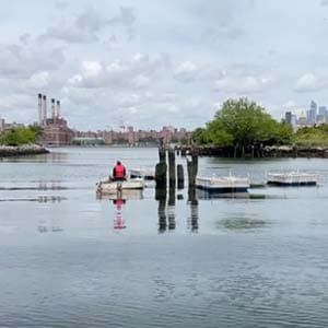 image of the artists of Tending Ostreidae: Serenades for Settling on a body of water